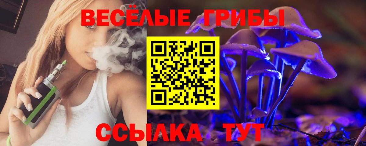 Рязань  Галлюциногенные грибы ЛСД  Вход с VPN 